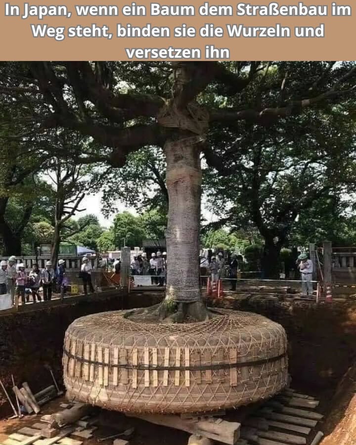 Schauen Sie sich die Sorgfalt an, mit der das gemacht wird!