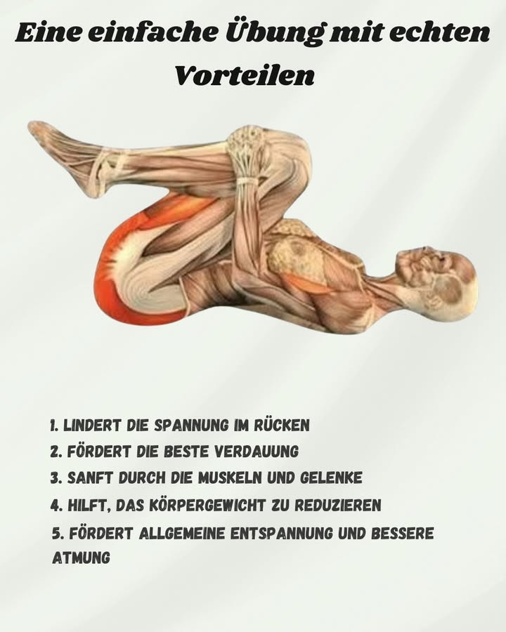 Vorteile der täglichen Bewegung 

1 Regelmäßige Bewegung lindert Rückenschmerzen.
2 Verbessert die Durchblutung und verringert das Risiko von Krampfadern.
3 Hilft, Migräne zu reduzieren.
4 Fördert die Gesundheit und Beweglichkeit der Gelenke.
5 Fördert die richtige Verdauung.