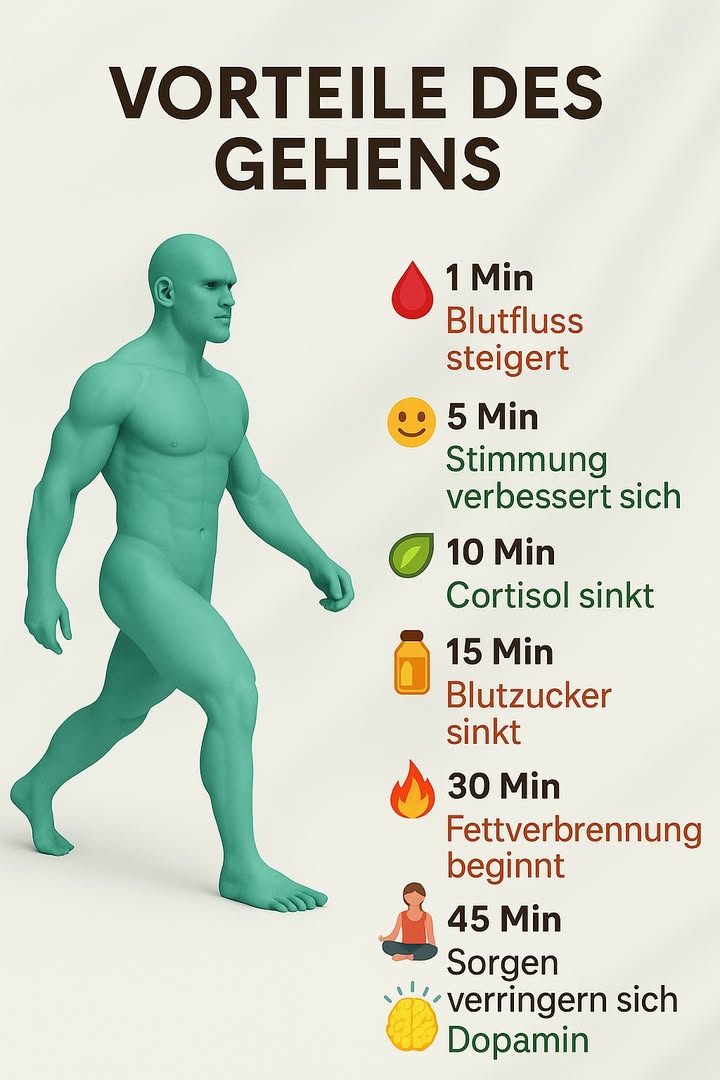 Vorteile des täglichen Spaziergangs 

1 Nach 1 Minute  Der Blutfluss verbessert sich und der Körper wacht auf.
2 Nach 5 Minuten  Die Stimmung hebt sich und der Stress beginnt zu sinken.
3 Nach 10 Minuten  Das Cortisol nimmt ab, was Ruhe und Ausgeglichenheit bringt.
4 Nach 15 Minuten  Der Blutzuckerspiegel sinkt auf natürliche Weise.
5 Nach 30 Minuten  Die Fettverbrennung beginnt.
6 Nach 45 Minuten  Der Geist wird ruhiger und die Konzentration steigt.
7 Nach 60 Minuten  Die Dopaminproduktion steigt, was Wohlbefinden und Leichtigkeit fördert.

 Spazierengehen ist einfach, kostenlos und verwandelt Körper und Geist  selbst in gemächlichem Tempo.
#fblifestyle
