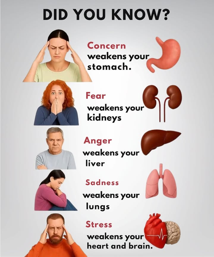 Emotions and Body: Everything Is Connected 

 Worry  Stomach
It increases acidity and can lead to discomfort or indigestion.

 Fear  Kidneys
Constant fear drains vital energy and disrupts kidney balance.

 Anger  Liver
Too much anger burdens the liver, which is key to filtering the blood.

 Sadness  Lungs
Deep sadness weakens the lungs and makes breathing harder.

 Stress  Heart and Brain
Prolonged stress raises blood pressure and affects concentration.

律 Balancing your emotions means caring for your body. A calm mind strengthens your health. 
#fblifestyle
