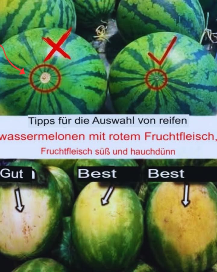 So findest du die perfekte Wassermelone in wenigen Sekunden! 

Gelbe Stelle prüfen: Eine kräftige, goldgelbe Sonnenstelle zeigt, dass die Melone reif und süß ist. Helle, fast weiße Stellen deuten auf Unreife hin.

Form & Festigkeit: Achte auf eine gleichmäßige Form und eine harte Schale. Weiche Stellen oder Dellen sind ein Zeichen für Überreife.

Gewicht vergleichen: Die schwerste Melone ist saftiger. Leichtere Melonen könnten trocken oder unreif sein.

Streifenmuster beobachten: Deutliche, kontrastreiche Streifen zeigen, dass die Melone viel Sonne hatte und süßer ist.

Dunkle Punkte suchen: Kleine, dunkle Flecken Zuckerflecken sind ein Indikator für besonders süße Früchte.

Mit diesen Tipps findest du garantiert die beste Wassermelone für dein Sommerpicknick!