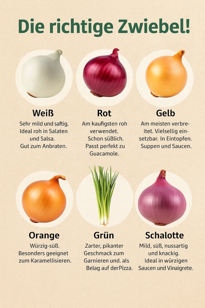 Wie man die perfekte Zwiebel für jedes Rezept wählt 
1 Zwiebel Weiß: Sanftes, süßes Aroma

Geeignet für: roh in Salsas, Salaten und Guacamole; schnelle Bratgerichte.
Praktischer Tipp: kocht schnell und behält eine knackige Textur.
2 Zwiebel Rot: Zart und farbenfroh

Geeignet für: roh in Guacamole, Konserven und Salaten; gekocht in Saucen als Deko.
Praktischer Tipp: verleiht dem Gericht eine visuelle Note, ohne den Geschmack zu dominieren.
3 Zwiebel Gelb: Tiefes, markantes Aroma

Geeignet für: lange gekochte Gerichte; Suppen, Soßen, Schmorgerichte.
Praktischer Tipp: karamellisiert und intensiviert den Geschmack.
4 Süße Zwiebel: Mild und süß

Geeignet für: frittiert oder gebacken; ideal mit anderem Gemüse im Ofen.
Praktischer Tipp: karamellisiert leicht, Textur wird weich.
5 Schalotten: Frisch und leicht

Geeignet für: roh als Beilage oder kalte Gerichte; auch gegrillt oder gebacken mit anderem Gemüse.
Praktischer Tipp: milder Geschmack, perfekter letzter Touch ohne Zu stark zu dominieren.
6 Cebolla Franzis: Zartheit und Vielseitigkeit

Geeignet für: roh in Dressings, Vinagrettes und als Deko; gekocht zu Fisch- oder zarten Fleischgerichten.
Praktischer Tipp: sieht schön aus als Deko oder feine Beilage.
Schnelle Tipps zum Umgang mit Zwiebeln in der Küche

Nicht in der Nähe der Augen schneiden: Sauerstoffverbindungen reizen die Augen. Tipp: unter fließendem Wasser schneiden oder die Zwiebel vorher kühlen.
Frische Zwiebeln wählen: auf Aussehen achten, keine schrumpelnden oder fleckigen Exemplare.
Scharfes Messer verwenden: für sauberes Schneiden und weniger Saftverlust.