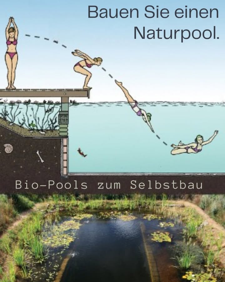 Naturpool selber bauen  natürlich baden im eigenen Garten 
Ein Naturpool auch Bio-Pool genannt ist die nachhaltige Alternative zum klassischen Swimmingpool. Er reinigt sich selbst durch eine biologische Filterzone mit Pflanzen, ganz ohne Chemikalien wie Chlor, und schafft so ein natürliches Badeerlebnis. Immer mehr Gartenbesitzer in Deutschland entscheiden sich für einen Naturpool, um ein umweltfreundliches Schwimmerlebnis zu genießen.

Vorteile eines Naturpools
 Keine Chemie
Pflanzen und Mikroorganismen reinigen das Wasser auf natürliche Weise.

 Weniger Wartungskosten
Ein Naturpool braucht weniger technische Ausstattung als ein Chlorpool.

 Fördert Artenvielfalt
Die Uferzone kann Libellen, Fröschen und anderen Nützlingen einen Lebensraum bieten.

 Ganzjährig schön
Im Gegensatz zu Folienpools sieht ein Naturpool selbst im Winter attraktiv aus.

 Weiches Wasser
Kein Chlorgeruch, keine Hautreizungen  ideal für Kinder und empfindliche Haut.

So funktioniert ein Naturpool
Ein Naturpool besteht im Grunde aus zwei Zonen:

 Schwimmbereich
Klares Wasser, meist mit natürlicher Abdichtung Folie oder Lehmschicht

 Regenerationszone
Flachwasserbereich mit Wasserpflanzen, die Nährstoffe aufnehmen und filtern

Ein leiser Skimmer und kleine Pumpen sorgen für Umwälzung, damit sich keine Algen bilden.

Schritt-für-Schritt zum eigenen Naturpool
1 Planung
Lage, Größe und Budget bestimmen  dabei genug Platz für die Regenerationszone einplanen.

2 Aushub
Je nach gewünschter Tiefe das Erdreich ausheben und modellieren.

3 Abdichten
Mit spezieller Folie oder natürlichem Ton abdichten, damit kein Wasser versickert.

4 Pflanzenzone anlegen
Kiesbeete und Wasserpflanzen einsetzen, um das biologische Gleichgewicht zu fördern.

5 Technik installieren
Skimmer, Pumpe und eventuell Filterbox montieren.

6 Wasser einlassen
Langsam füllen und die Pflanzen beim Einwachsen beobachten.

7 Einlassen und genießen!
Nach ein paar Wochen stabilisiert sich das ökologische System  jetzt kannst du ganz ohne Chemie baden.

Tipps für deutsche Gärten
 am besten einen sonnigen Standort wählen
 keine Laubbäume direkt daneben  weniger Eintrag von Blättern
 immer an Kindersicherung denken, wenn Kinder im Haushalt leben