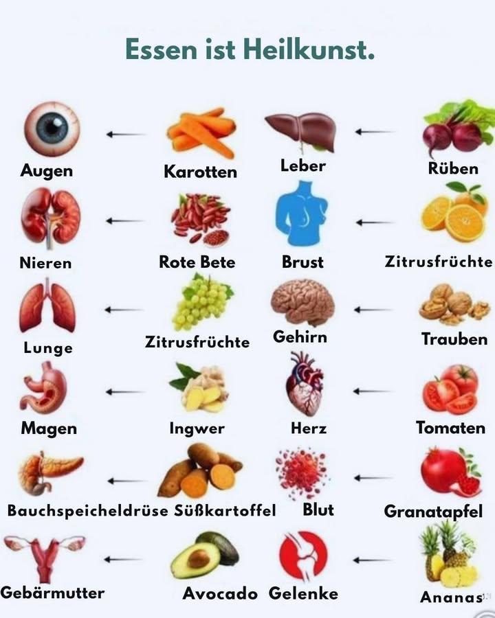 Lebensmittel als Heilmittel: 12 Lebensmittel, 12 Vorteile 凜

– Karotten: schützen die Sicht durch Beta-Carotin 
– Rote Bohnen: unterstützen die Nieren, ballaststoffreich 
– Trauben: gut für die Lunge, voll von Antioxidantien 
– Ingwer: regt den Magen an, fördert die Verdauung 
– Süßkartoffeln: balancieren die Bauchspeicheldrüse mit komplexen Zuckern 
– Avocado: fördert die Gebärmutergesundheit dank gesunder Fette 陋
– Rote Beete: reinigt die Leber, reich an Eisen 
– Zitrusfrüchte: stärken Lunge und Brust, Vitamin C 
– Nüsse: kurbeln das Gehirn mit Omega-3-Fettsäuren an 易
– Tomaten: schützen das Herz, Quelle von Lycopin 
– Granatapfel: fördert die Blutgesundheit, starke Antioxidantien 
– Ananas: lindert Schmerzen in den Gelenken durch Bromelain 

Jeder Bissen kann deinem Körper Nahrung bieten, nicht nur satt machen.