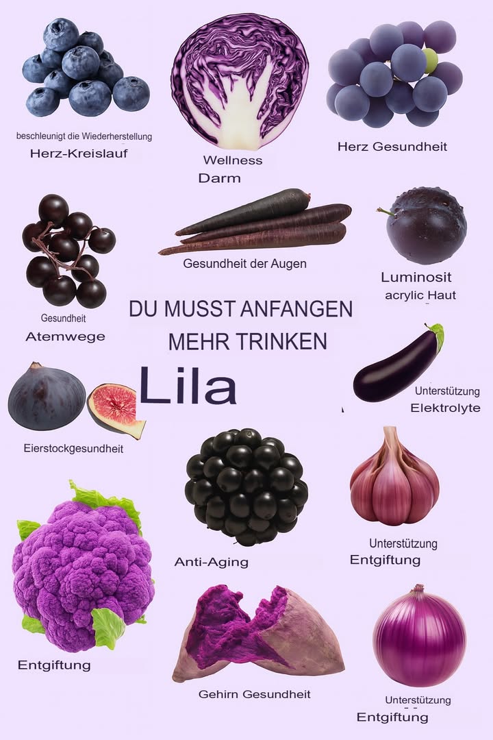 Die Macht des Violetten: Lebensmittel, die die Gesundheit fördern

Die lebendige violette Farbe von Obst und Gemüse ist mit einer Vielzahl von gesundheitlichen Vorteilen verbunden. Das Bild hebt verschiedene violette Lebensmittel hervor, die verschiedene Aspekte der Gesundheit unterstützen und betont die Bedeutung, diese nährstoffreichen Lebensmittel in die eigene Ernährung zu integrieren.

Herz-Kreislauf-Gesundheit
Blaubeeren und Trauben sind bekannt dafür, ein gesundes Herz-Kreislaufsystem zu fördern. Blaubeeren helfen, die Erholung des Herz-Kreislaufsystems durch ihre Antioxidantien zu beschleunigen, während Trauben die allgemeine Herzgesundheit unterstützen, indem sie die Funktionalität der Blutgefäße verbessern.

Darm- und Verdauungsgesundheit
Violetter Blumenkohl ist gut für die Darmgesundheit. Seine Phytochemikalien und Ballaststoffe tragen dazu bei, ein gesundes Verdauungssystem aufrechtzuerhalten, Entzündungen zu reduzieren und das Gleichgewicht des Mikrobioms im Darm zu fördern.

Augen- und Hautgesundheit
Karotten, obwohl sie orange sind, gibt es auch in einer violetten Variante und sie sind entscheidend für die Gesundheit der Augen dank ihres Vitamin-A-Gehalts. Zudem ist das Aussehen einer gesunden Haut mit Lebensmitteln wie violetten Pflaumen und schwarzer Traube verbunden, die Antioxidantien enthalten, die die Hautzellen vor Schäden schützen.

Atemwegs- und Fortpflanzungsgesundheit
Violette Trauben fördern auch die Atemwegsgesundheit, indem sie die Lungenfunktion und die Immunantwort unterstützen. Einige violette Früchte werden für ihre positiven Auswirkungen auf die Gesundheit der Eierstöcke geschätzt, da sie reich an Antioxidantien sind, die das hormonelle Gleichgewicht fördern können.

Anti-Aging und Gehirngesundheit
Brombeeren und schwarze Himbeeren enthalten hohe Mengen an Antioxidantien, die oxidativem Stress entgegenwirken, den Alterungsprozess verlangsamen und die Gehirngesundheit fördern. Süßkartoffeln mit ihrem violetten Fruchtfleisch bieten Nährstoffe, die kognitive Funktionen unterstützen und Entzündungen reduzieren.

Entgiftung und Durchblutung
Violetter Blumenkohl und violette Süßkartoffeln sind mit der Entgiftung verbunden und tragen zur Beseitigung von Toxinen bei. Außerdem fördern Zwiebeln, insbesondere die violetten Sorten, die Blutzirkulation dank ihrer schwefelhaltigen Verbindungen und Antioxidantien.

Elektrolytunterstützung und Hydratation
Auberginen enthalten essentielle Mineralien, die das Elektrolytgleichgewicht fördern, was für die Hydratation und die ordnungsgemäße Nervenschfunktion von entscheidender Bedeutung ist.

Fazit
Die Aufnahme von violetten Lebensmitteln in die eigene Ernährung kann eine Reihe von gesundheitlichen Vorteilen bieten, von der Verbesserung der Herz- und Gehirngesundheit bis hin zur Stärkung der Immunfunktion und der Förderung der Entgiftung. Die Antioxidantien und Phytochemikalien in diesen vitaminreichen Lebensmitteln machen sie zu einer klugen Wahl, um das allgemeine Wohlbefinden zu erhalten.