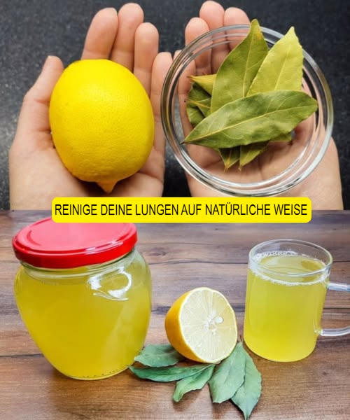 Natürliche Hausmittel zur Reinigung deiner Lungen

Möchtest du deine Atmung verbessern und deine Lungen auf natürliche Weise stärken? Probiere diese einfachen und wirksamen Hausmittel aus:

 Lorbeerblätter-Tee
Koche 3 Lorbeerblätter in 2 Tassen Wasser auf, füge etwas Honig und Zitronensaft hinzu. Dieser Tee hilft, die Atemwege zu öffnen und den Hals zu beruhigen.

 Honig mit Zitrone und Lorbeer
Mische Honig, Zitronenscheiben und Lorbeerblätter in einem Topf und erhitze alles bei schwacher Hitze für 1520 Minuten. Nimm 1 Teelöffel davon 23 Mal täglich ein.

 Vorteile von Lorbeerblättern:
Sie enthalten entzündungshemmende Stoffe, die die Atemwege reinigen und Entzündungen lindern.

 Honig:
Wirkt als natürlicher Schleimlöser und beruhigt den gereizten Hals.

 Zitrone:
Reich an Vitamin C  stärkt das Immunsystem und hilft bei der Bekämpfung von Atemwegsinfekten.

Mit diesen einfachen Mitteln kannst du deine Lungen unterstützen und leichter durchatmen. Hast du eines davon schon ausprobiert? Teile deine Erfahrungen in den Kommentaren!