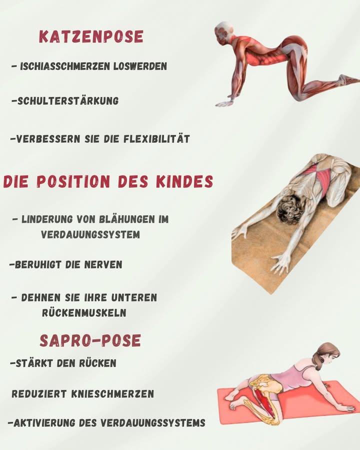 律 Yoga-Posen zur Entspannung und Revitalisierung des Körpers 律

1 Katzenpose Marjaryasana
Abwechselnde Bewegungen der Wirbelsäule stärken und lindern den unteren Rücken. Sie reduzieren Verspannungen und helfen bei der Linderung des Ischiasnervs.

2 Kinderpose Balasana
Das Beugen des Körpers über die Beine entspannt tiefgehend den Geist und die Wirbelsäule. Es fördert die Verdauung und lindert Bauchbeschwerden.

3 Froschpose Mandukasana
Öffnet die Hüften, stärkt den unteren Rücken und verbessert die Blutzirkulation. Ideal für diejenigen, die lange sitzen.

 Regelmäßiges Praktizieren dieser Posen bringt Leichtigkeit, Flexibilität und ganzheitliches Wohlbefinden.
#fblifestyle
