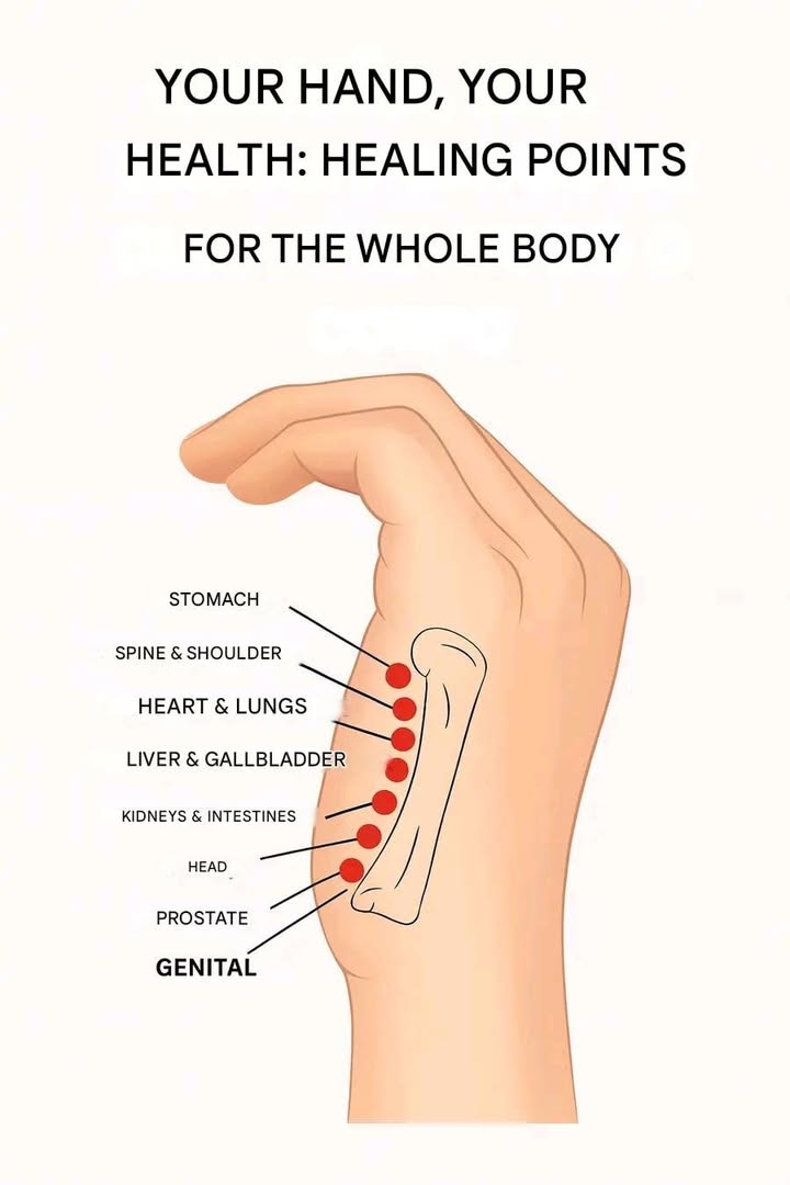 Your hand, your health 
Healing points that reflect the whole body