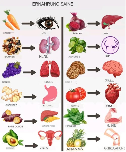 Geheimnisse eines gesunden und energiegeladenen Lebens
Ein gesunder Lebensstil beginnt mit der richtigen Ernährung. Essen, was deinem Körper gut tut, stärkt dein Immunsystem, beugt Krankheiten vor und gibt dir die Energie, die du für den Alltag brauchst. Hier ist eine einfache, Schritt-für-Schritt-Anleitung, um deine Ernährung auf das nächste Level zu heben  freundlich, übersichtlich und motivierend!

 Schritt 1: Wähle bunte und abwechslungsreiche Mahlzeiten
Füge deinem Teller frische Früchte wie Äpfel, Mangos und Erdbeeren sowie vielfältiges Gemüse wie Brokkoli, Tomaten und Spinat hinzu. Das sorgt für Vitamine und Mineralstoffe, die dein Körper braucht.

 Schritt 2: Integriere gesunde Proteine
Setze auf Fisch, mageres Huhn, Eier oder pflanzliche Alternativen wie Linsen, Kichererbsen und Nüsse. Sie sind wichtig für Muskelaufbau und Energie.

 Schritt 3: Bevorzuge Vollkornprodukte
Essen wie brauner Reis, Haferflocken, Vollkornbrot und Quinoa sind ballaststoffreich und sorgen für ein langanhaltendes Sättigungsgefühl.

 Schritt 4: Nutze gesunde Fette
Verwende Olivenöl, Kokosöl oder Avocado, um Geschmack zu verleihen und gleichzeitig dein Herz zu schützen.

 Schritt 5: Trinke regelmäßig und bewusst
Wasser, ungesüßter Tee oder verdünnte Fruchtsäfte sind ideal. Vermeide zuckerhaltige Getränke, um dein Energielevel stabil zu halten.

 Schritt 6: Experimentiere mit leckeren und gesunden Rezepten
Probier zum Beispiel eine vitaminreiche Salatplatte, gegrillten Lachs mit frischem Gemüse oder einen nährstoffreichen Smoothie aus Beeren, Bananen und Spinat.

 Schritt 7: Höre auf deinen Körper
Iss bewusst und achte auf Hunger und Sättigung. Dein Körper weiß, was er braucht!

Mit diesen einfachen Schritten machst du die Ernährung zu deinem Freund und Verbündeten für ein vitales Leben. Sei stolz auf die kleinen Veränderungen  dein Körper wird es dir danken und du wirst dich energiegeladen fühlen. Los gehts, deine gesunde Reise kann jederzeit starten!