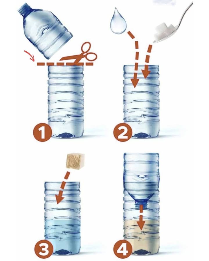 Fliegenplage in der Wohnung?  So wirst du sie ganz natürlich los  mit einem Trick, der seit 2015 funktioniert!

離 Du brauchst nur:

1/2 Tasse Zucker 

1/4 Tasse Essig 

1/2 Tasse warmes Wasser 

1 TL Salz 蓼

 So gehts:

Nimm eine leere Plastikflasche & schneide den oberen Teil ab.

Mische alle Zutaten in der unteren Hälfte.

Stecke den Flaschenhals verkehrt herum wie einen Trichter wieder hinein.

Stelle die Falle auf  z. B. neben Obstschalen oder Fenstern.

 Ergebnis? Fliegen fliegen rein, kommen aber nicht mehr raus! Ganz ohne Chemie, sicher für Kinder & Haustiere. 

 Tipp: Mit ein paar Tropfen Spülmittel wirds noch effektiver!