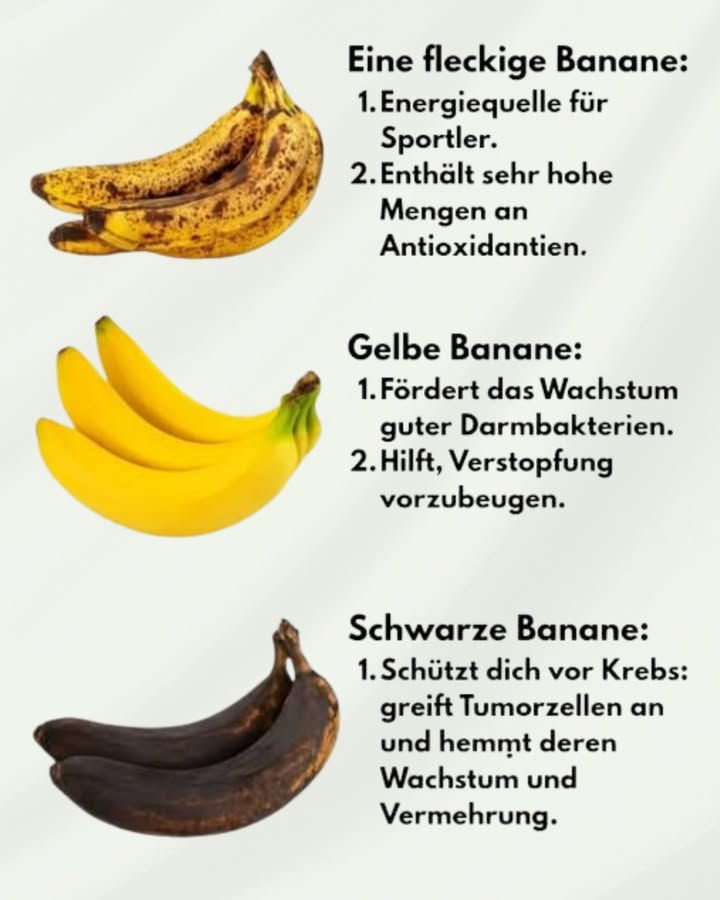 Banane nach Reifegrad: Was passt wozu 
1 Fleckig reif
Süßer und weicher, gut verträglich. Liefert schnell verfügbare Energie, praktisch vor oder nach dem Sport. Enthält antioxidative Verbindungen, aber verdirbt schneller  zügig verzehren.
2 Gelb klassisch reif
Gute Balance aus Süße und Ballaststoffen. Fördert eine gesunde Darmflora und hilft der Verdauung. Allround-Snack für Schule, Arbeit und unterwegs.
3 Schwarz/überreif
Sehr süß und sehr weich. Ideal für Bananenbrot, Pancakes, Porridge oder Smoothies. Nicht automatisch gesünder  bei Schimmel, Gärgeruch oder austretender Flüssigkeit entsorgen.
4 Lagerung & Reife
Bei Zimmertemperatur reifen lassen, getrennt von anderem Obst. Kühlschrank bremst die Reife Schale wird dunkel, Frucht bleibt länger fest. Reife durch Beutel mit Äpfeln beschleunigen.
5 Smarter Genuss
Portionen an Aktivität und Bedarf anpassen. Für stabileren Blutzucker mit Eiweiß oder Fett kombinieren z. B. Joghurt, Nüsse, Erdnussmus.
 Fazit
Jede Reifestufe hat ihren besten Einsatz: gelb für den Alltag, fleckig für schnelle Energie, schwarz für die Küche. Wähle nach Geschmack und Zweck  und genieße bewusst.