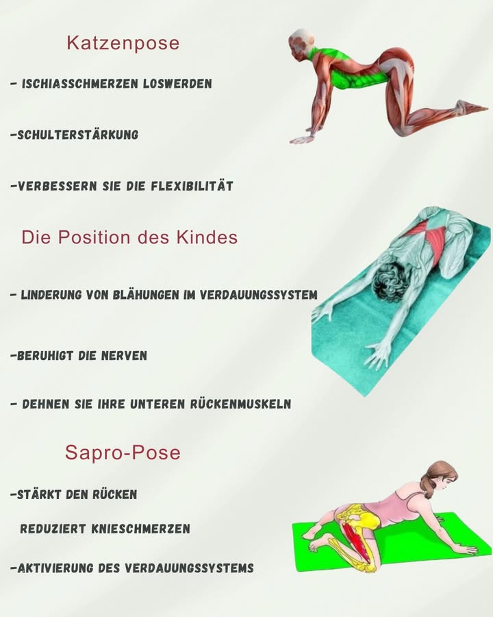 律 Yogastellungen für Erleichterung und Wohlbefinden 律

1 Katzenhaltung Marjaryasana
Sanfte Bewegungen der Wirbelsäule mit abwechselnder Wölbung und Rundung. Dehnt den unteren Rücken, löst Verspannungen und lindert Schmerzen im Ischiasnerv. Geeignet bei Steifheit in der Lendengegend.

2 Haltung des Kindes Balasana
Der Körper wird auf die Beine gestützt und der Bauch sanft gedrückt. Regt die Verdauung an, reduziert Blähungen, entspannt den Geist und dehnt die Wirbelsäule. Hilft bei Magen- und Darmbeschwerden.

3 Froschstellung Mandukasana
Öffnet die Hüften und stärkt den unteren Rücken. Verbessert die Durchblutung, reduziert Verspannungen in den Knien und Gelenken und fördert die Flexibilität. Nützlich für Menschen, die viel Zeit im Sitzen verbringen.