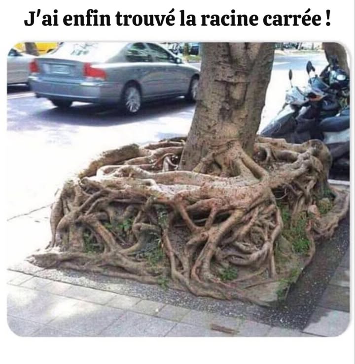 Je lai trouvé ! 藍藍