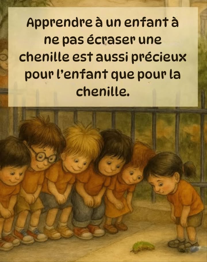 Apprenons à nos enfants le respect de la nature 

Montrer à un enfant quil ne faut pas écraser une chenille est tout aussi important pour la chenille que pour lenfant. 

Faisons grandir lempathie et le sens des responsabilités dès le plus jeune âge.