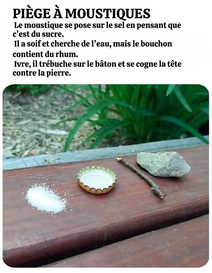 Cela semble efficace.