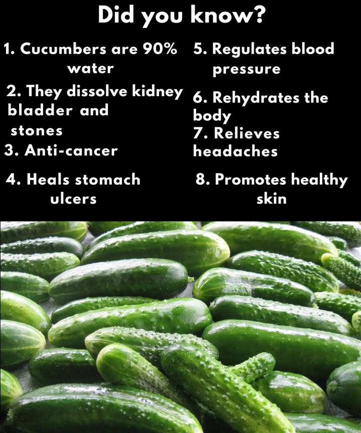 勒 Health Benefits of Cucumbers 勒

1 Contains about 90% water, keeping the body hydrated during hot days or after exercise.

2 Supports kidney and bladder health with a mild diuretic effect that helps flush toxins and reduce the risk of stones.

3 Provides antioxidants and cucurbitacins that are studied for potential protective effects against cancer.

4 Soothes the stomach with a natural cooling effect that can ease ulcers and support digestion.

5 Contributes to balanced blood pressure thanks to potassium and magnesium, beneficial for heart health.

6 Enhances daily hydration, nourishing the skin and internal organs effectively.

7 Relieves headaches caused by dehydration through hydration and anti-inflammatory properties.

8 Improves skin health with silica and water content that refresh the skin and reduce puffiness.