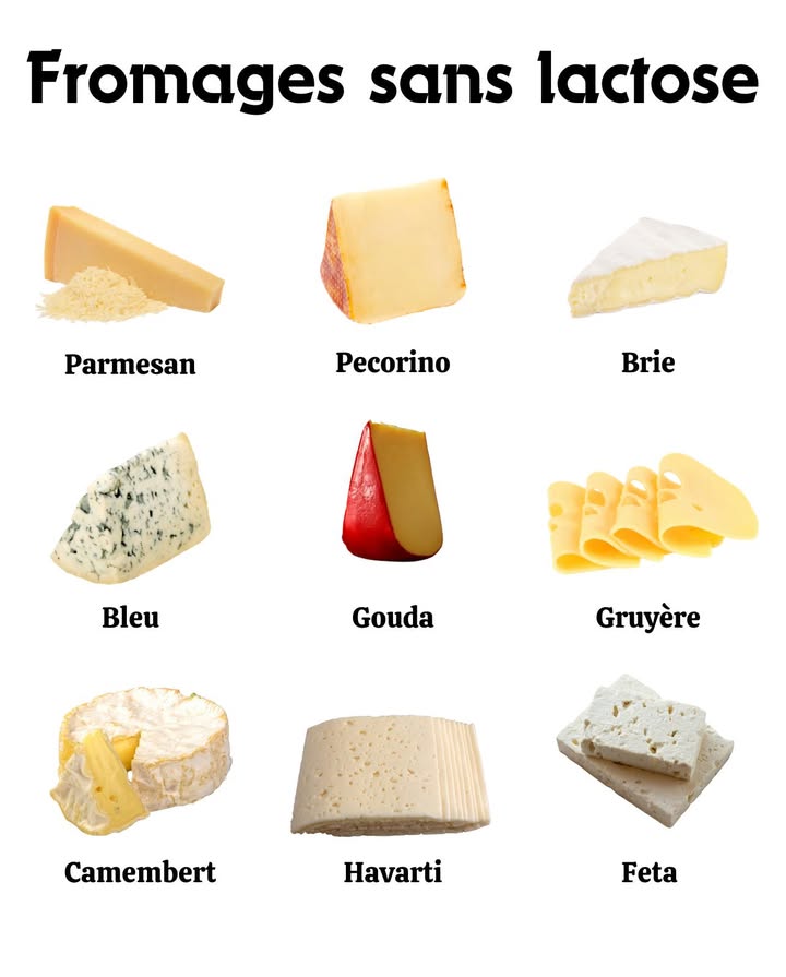 Fromages sans lactose
