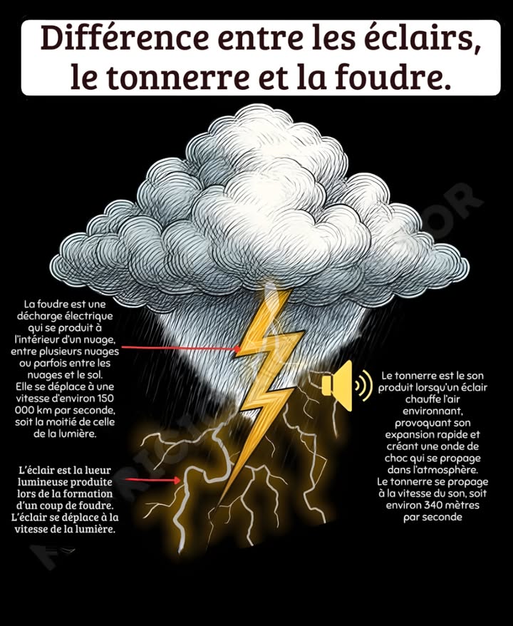 Différence entre les éclairs, le tonnerre et la foudre 

Les orages sont parmi les spectacles les plus impressionnants de la nature. Derrière leur beauté, se cache une rencontre entre la lumière, le son et lélectricité, un ballet céleste où la puissance et la précision coexistent.

 La foudre : la décharge électrique du ciel
La foudre est une décharge électrique géante qui traverse lair à une vitesse fulgurante  environ 150 000 km par seconde.
Elle peut se produire à lintérieur dun nuage, entre plusieurs nuages, ou entre le nuage et le sol.
Son énergie est telle quelle chauffe lair environnant à plus de 30 000 C, soit cinq fois la température de la surface du Soleil.

 Léclair : la lumière de la foudre
Léclair est la lueur éblouissante que lon observe lorsquun coup de foudre se forme.
Voyageant à la vitesse de la lumière près de 300 000 km par seconde, il illumine le ciel avant même que le tonnerre ne résonne.
Sa teinte varie selon lhumidité et la composition de lair  blanche, bleue ou dorée  et transforme la nuit en un éclat fugace.

 Le tonnerre : le son du choc atmosphérique
Le tonnerre est le bruit que lon entend après léclair.
Lorsque la foudre réchauffe brutalement lair, celui-ci se dilate et crée une onde de choc qui se propage dans latmosphère à 340 mètres par seconde.
Cette différence de vitesse entre la lumière et le son explique pourquoi le tonnerre gronde quelques secondes après le flash lumineux.

 Un phénomène aussi beau quessentiel
La foudre nest pas seulement un spectacle : elle contribue à léquilibre de la planète.
En libérant de lazote dans latmosphère, elle favorise la fertilité des sols et la croissance des plantes, bouclant ainsi un cycle vital.

 Léclair illumine, la foudre frappe, le tonnerre résonne  ensemble, ils racontent la force vivante du ciel.