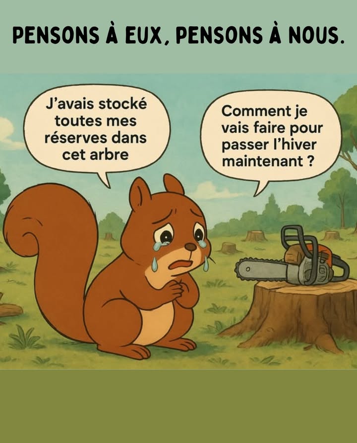 Quand on coupe un arbre, on ne détruit pas seulement du bois.
Cest aussi une maison, un garde-manger, un abri pour des centaines de vies invisibles.

Ce petit écureuil rappelle la réalité : derrière chaque tronc abattu, il y a des réserves perdues, des nids détruits et des animaux en danger.

 Préserver les arbres, cest préserver la vie.