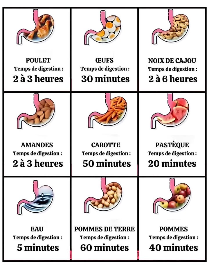 Temps de Digestion Alimentaire : ce que votre estomac vous cache 

Le temps que prend chaque aliment pour être digéré peut varier, mais voici un guide pratique pour mieux organiser vos repas et préserver votre bien-être digestif :

 Fruits & Légumes
 Fruits très aqueux pastèque, melon : 2030 min
 Pommes, poires, raisins : 3040 min
 Agrumes oranges, kiwis, fraises : 3040 min
 Légumes crus concombre, laitue : 3040 min
 Légumes cuits carottes, brocoli : 4050 min

稜 Glucides
 Pain blanc, riz blanc, pâtes : 12 h
 Céréales complètes quinoa, avoine : 2 h
 Pommes de terre, patates douces : 1,52 h

 Protéines
 Œufs : 3045 min
 Poisson blanc : 30 min
 Poisson gras saumon, thon : 4560 min
 Poulet sans peau : 1,52 h
 Viande rouge : 34 h
 Légumineuses lentilles, pois chiches : 23 h

燎 Produits Laitiers
 Lait, yaourt : 12 h
 Fromages mous : 2 h
 Fromages à pâte dure : 45 h

樂 Fruits Secs & Graines
 Amandes, noix : 23 h
 Chia, graines de lin : 2 h

 Graisses & Huiles
 Huiles végétales olive, coco : 30 min
 Beurre, margarine : 23 h

 Boissons
 Eau : presque immédiat
 Jus de fruits : 1530 min
 Café, thé : 3045 min

 Ce qui peut ralentir la digestion
 Portions trop grosses
 Mauvaises combinaisons alimentaires ex. viande  féculents
 Inactivité après les repas
 Problèmes digestifs SII, reflux, gastrite

 Astuces pour une digestion fluide
 Mâchez lentement 醴
 Buvez de leau régulièrement 
 Privil