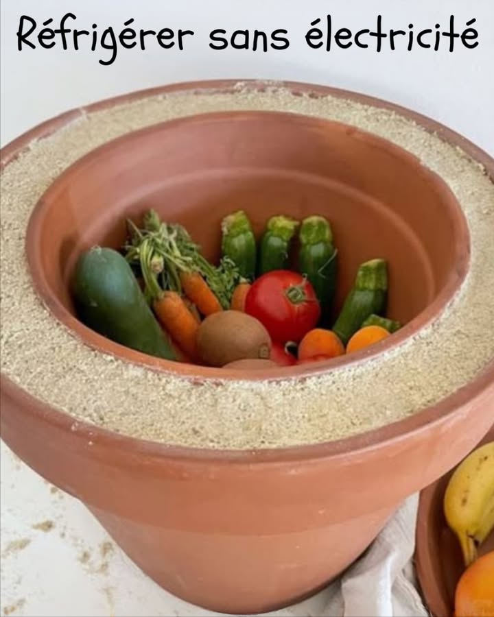Réfrigérer sans électricité 

 Placer un petit récipient à lintérieur dun plus grand
 Remplir lespace intermédiaire avec du sable humide
 Recouvrir le dessus dun linge humide

Lévaporation de leau retire la chaleur et refroidit naturellement lintérieur. Cette méthode simple et économique prolonge la conservation des aliments périssables de quelques jours à trois semaines. Une solution ingénieuse pour les situations durgence ou la vie hors réseau.

#RéfrigérationNaturelle #AstuceÉcologique #VieAutonome