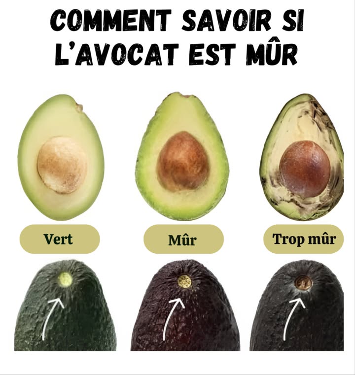 陋 La couleur de lavocat révèle tout 

 Jaune : lavocat nest pas encore mûr, laisse-le mûrir quelques jours
 Vert : il est à point, prêt à être dégusté
 Marron : il est passé, mieux vaut lutiliser en masque ou au compost

 Astuce pratique pour ne jamais rater le bon avocat 陋