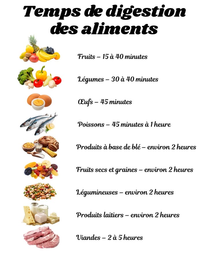 Temps de digestion des aliments