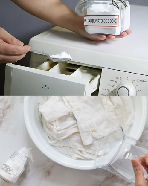 狀 Mettre du bicarbonate dans la machine à laver  le secret des blanchisseries expérimentées 

Pour absorber les odeurs
1 Ajouter 25 g de bicarbonate 1 c. à s. dans le bac à lessive avec le détergent habituel.
2 Lancer le cycle de lavage normal.

Pour blanchir le linge
1 Verser 1 tasse de bicarbonate avec le détergent.
2 Idéal pour redonner éclat aux blancs ou raviver les tissus jaunis.

Pour prétraiter les taches
1 Mélanger bicarbonate et vinaigre pour obtenir une pâte.
2 Appliquer sur la tache et laisser agir 2 h.
3 Laver ensuite en machine.

Pour entretenir la machine
1 Ajouter 1 c. à s. de bicarbonate à chaque lavage pour limiter bactéries et moisissures.
2 Faire un lavage à vide haute température avec 1 tasse de bicarbonate dans le tambour.

 Un geste simple pour un linge frais, éclatant et une machine toujours propre.