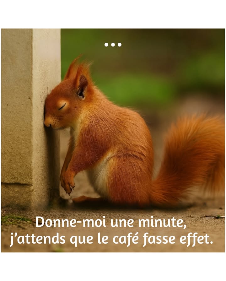 Actuellement en mode 1 % de batterie… et le café est le chargeur. 
#BesoinDeCafé #TeamCafé #MatinDifficile