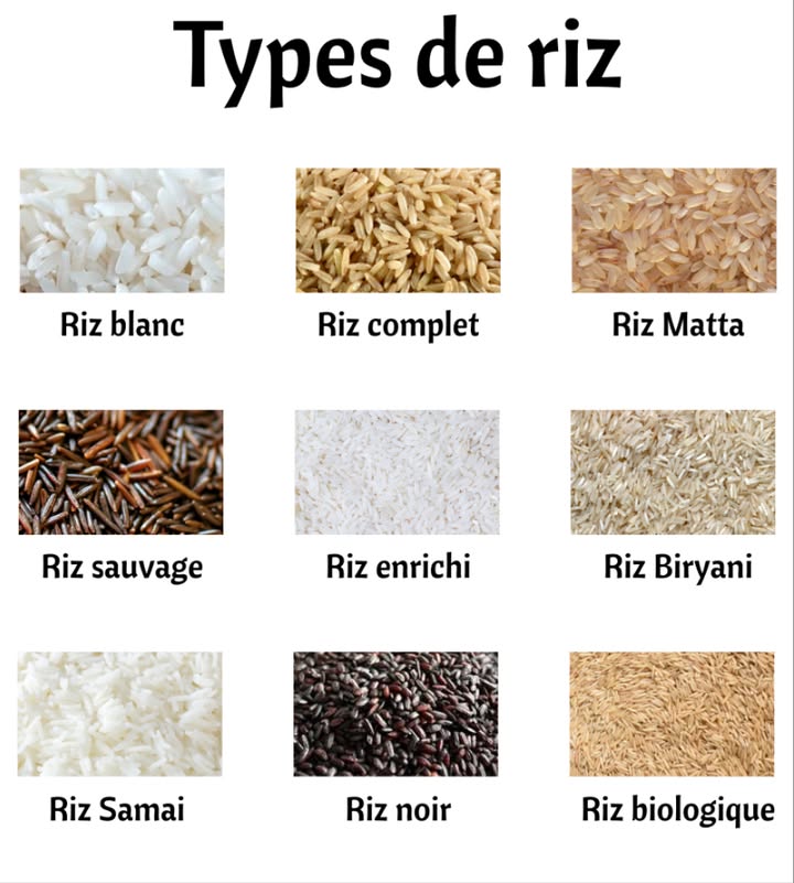Différentes variétés de riz et leurs particularités 
1. Riz complet  Minimement transformé, conserve son son et son germe. Excellente source de fibres, vitamines et minéraux.
2. Riz blanc  Poli pour retirer son enveloppe et son germe, offre un goût plus doux et une texture tendre.
3. Riz Matta  Originaire du Kerala Inde, réputé pour sa texture moelleuse et sa légère saveur sucrée.
4. Riz sauvage  Pousse naturellement dans les zones humides dAmérique du Nord, riche en fibres et nutriments.
5. Riz enrichi  Additionné de fer, zinc et vitamine B, utile en cas de carences nutritionnelles.
6. Riz Biryani  Idéal pour les plats parfumés de la cuisine indienne.
7. Riz Samai  De Tamil Nadu Inde, à texture tendre et saveur subtilement sucrée.
8. Riz noir  Cultivé en Asie, reconnaissable à sa couleur sombre et sa douceur en bouche.
9. Riz bio  Produit sans pesticides ni engrais chimiques, plus sain et respectueux de lenvironnement.