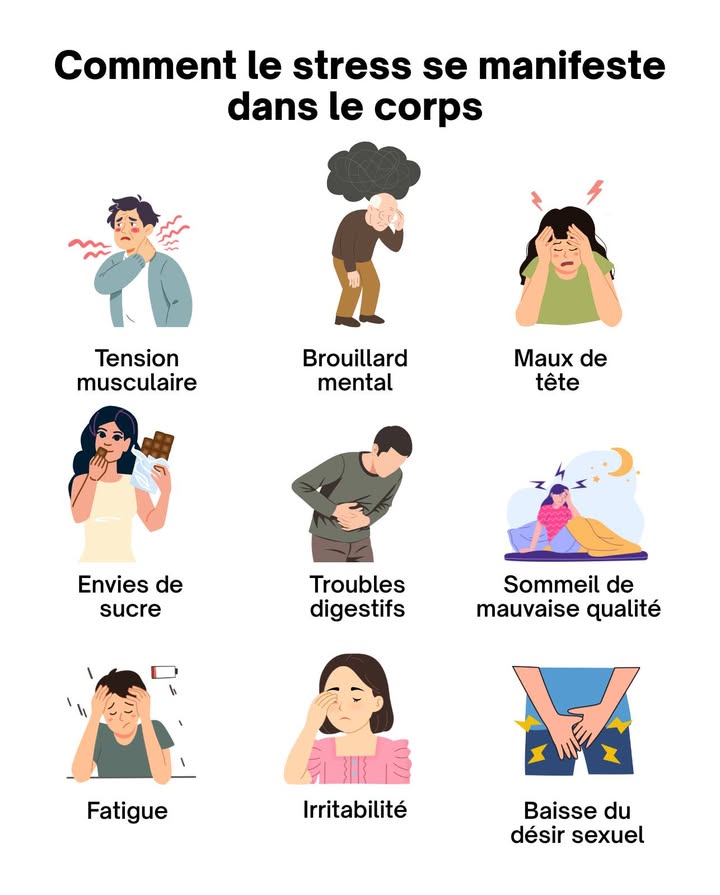 Comment le stress se manifeste dans le corps 

 Tension musculaire  les muscles se contractent, surtout au niveau du cou, des épaules et du dos.
 Maux de tête  la tension et la fatigue nerveuse provoquent des douleurs persistantes.
 Fatigue  le corps dépense trop dénergie à gérer le stress, ce qui épuise les réserves.
 Irritabilité  les hormones du stress adrénaline, cortisol rendent les émotions plus instables.
 Sommeil de mauvaise qualité  lesprit reste actif, ce qui perturbe lendormissement et le repos profond.
 Troubles digestifs  le stress ralentit ou accélère la digestion, causant ballonnements, brûlures ou diarrhée.
 Envies de sucre  le corps cherche une source rapide dénergie pour compenser la tension.
 Baisse du désir sexuel  le stress chronique diminue la production dhormones sexuelles.
 Brouillard mental  la concentration et la mémoire se troublent à cause de la surcharge émotionnelle.