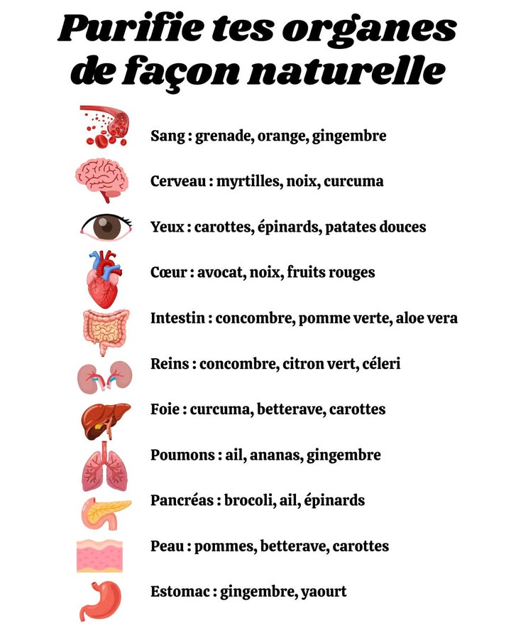 Purifie tes organes de façon naturelle