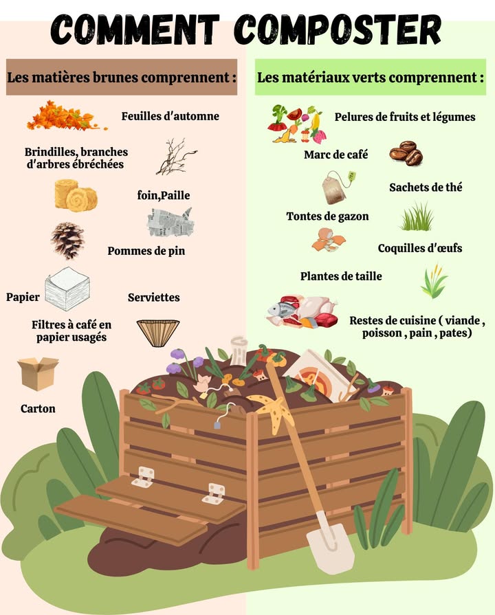Comment composter : transformer ses déchets en or 

 Matières brunes carbone
 Feuilles dautomne , brindilles , paille , pommes de pin , papier & carton 

塞 Matières vertes azote
 Épluchures 凌, marc de café , sachets de thé , gazon , coquilles dœufs 讀, restes de cuisine 數

 Équilibre idéal
2/3 bruns  1/3 verts
 Trop de verts = odeurs
 Trop de bruns = lenteur

 Avantages
 Réduit les déchets 
 Fertilise naturellement 
 Améliore la structure du sol 
 Protège lenvironnement 

 Un geste simple pour un jardin riche et vivant