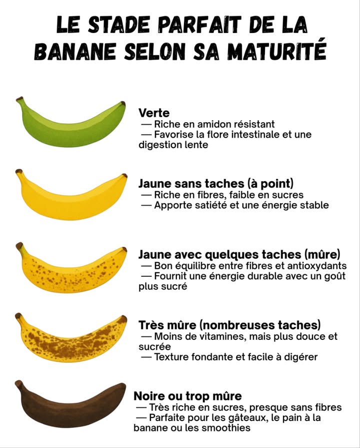 Le stade parfait de la banane selon sa maturité 
 Chaque étape de maturité a ses avantages : choisissez celle qui correspond à vos goûts ou à votre recette.