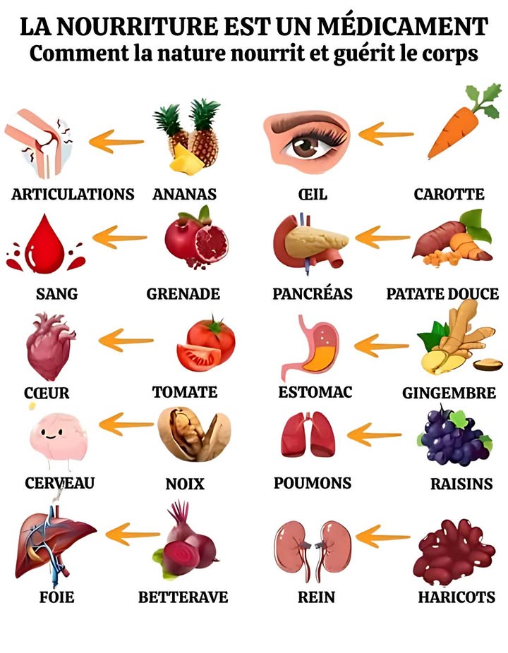 La nourriture est une médecine : la nature nourrit et guérit 
Offrez à votre corps les trésors du vivant 

 Ananas : Anti-inflammatoire naturel, soulage les douleurs articulaires.
 Grenade : Améliore la circulation et protège les globules rouges.
 Tomate : Source de lycopène pour un cœur fort et en bonne santé.
易 Noyer : Riche en oméga-3, stimule la mémoire et la concentration.
 Betterave : Détoxifie le foie et active la circulation sanguine.
凌 Carotte : Pleine de bêta-carotène pour une vision éclatante.
 Patate douce : Stabilise la glycémie et facilite la digestion.
 Gingembre : Calme les nausées et soutient le système digestif.
 Raisin : Protège les poumons des toxines et du stress oxydatif.
齃 Haricots rénaux : Nourrissent les reins grâce à leurs fibres et minéraux.

 Adoptez les remèdes de la nature pour une vie plus saine, naturellement.