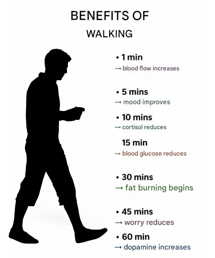The Benefits of Walking 

Taking a walk might seem simple, but every step brings powerful changes to your body and mind. Heres how your health transforms minute by minute:

1 After 1 minute  Your blood starts circulating better, giving your body a quick energy boost. Who knew it worked this fast?

2 After 5 minutes  Your mood improves as stress begins to fade. Say goodbye to that grumpy face!

3 After 10 minutes  Cortisol, the stress hormone, drops. Its healthier than sitting in traffic arguing with yourself.

4 After 15 minutes  Blood sugar levels begin to regulate, step by step supporting better balance.

5 After 30 minutes  Your body starts burning fat, making walking a simple way to feel fitter without the gym.

6 After 45 minutes  Your mind feels lighter, and overthinking slowly quiets down.

7 After 60 minutes  Dopamine rises, filling you with a natural sense of happiness.

Remember, you dont need to walk fast or push yourself hard. Even a gentle pace brings these amazing benefits. So lace up your shoes, take that first step, and let your walk transform your day!
