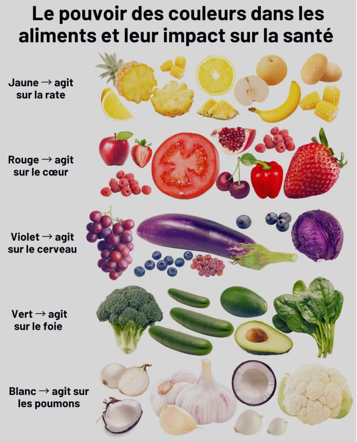 Le pouvoir des couleurs dans les aliments et leur impact sur la santé 

 Jaunes  Rate
Ananas, maïs, banane, pomme de terre, poire et citron stimulent la digestion et apportent une énergie vitale équilibrante.

 Rouges  Cœur
Fraises, tomates, poivrons et fruits rouges protègent le système cardiovasculaire et améliorent la circulation sanguine.

 Violets  Cerveau
Aubergine, chou rouge, raisin et myrtille renforcent la mémoire et luttent contre le vieillissement cellulaire.

 Verts  Foie
Brocoli, épinard, concombre et avocat favorisent la détoxification et la régénération naturelle du foie.

懶 Blancs  Poumons
Ail, oignon, chou-fleur et noix de coco renforcent le système respiratoire et soutiennent les défenses immunitaires.

復 Chaque couleur nourrit un organe : mangez la palette du bien-être au quotidien.