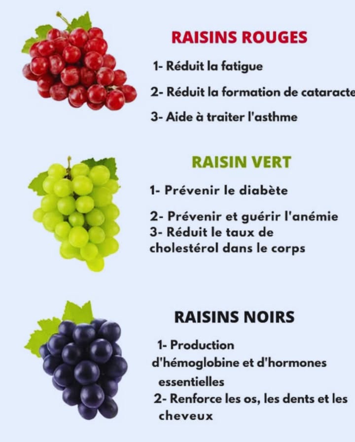 Les Bienfaits des Raisins : Rouges, Verts et Noirs 
1 Raisin rouge 
Riche en resvératrol, un puissant antioxydant qui soutient le cœur, améliore la circulation et protège la vision, tout en apportant une énergie naturelle au corps.
2 Raisin vert 
Aide à réguler la glycémie, soutient la santé cardiovasculaire et fournit des minéraux essentiels pour prévenir lanémie.
3 Raisin noir 
Très concentré en polyphénols, il lutte contre le vieillissement cellulaire, renforce les os et les dents et favorise léquilibre hormonal.
 Quelle que soit sa couleur, le raisin est un fruit fonctionnel et complet, alliant plaisir gustatif et bienfaits pour la vitalité et le bien-être quotidien.