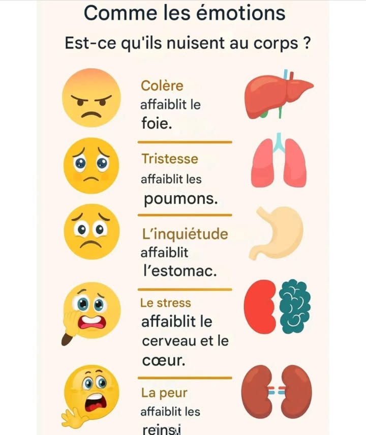 Comment les émotions influencent notre santé physique 

À une époque marquée par une digitalisation accélérée, comprendre le lien entre nos émotions et notre corps est fondamental pour préserver notre bien-être.

La colère : Elle peut affaiblir le foie. Apprendre à respirer profondément et à exprimer sa colère de manière saine est essentiel.

La tristesse et le chagrin : Ils affectent les poumons et peuvent perturber la respiration. Sexprimer par la parole ou lécriture, ou passer du temps en nature, peut soulager ces émotions.

Linquiétude : Elle pèse sur lestomac et peut provoquer des troubles digestifs. Une alimentation équilibrée et des exercices de relaxation sont recommandés.

Le stress : Il impacte le cœur et le cerveau, nuisant à la mémoire et à la santé cardiovasculaire. La méditation et un bon sommeil sont des remèdes puissants.

La peur : Elle agit sur les reins et épuise les glandes surrénales. Adopter des routines apaisantes et sentourer dun bon réseau social aide à restaurer léquilibre intérieur.