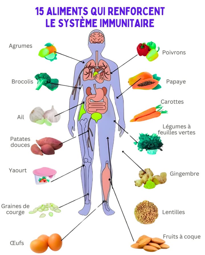 15 aliments puissants qui renforcent naturellement le système immunitaire 

 1. Agrumes  Riches en vitamine C oranges, citrons, citrons verts, ils stimulent les globules blancs contre les infections.
復 2. Brocolis  Pleins de vitamines A, C et E, de fibres et dantioxydants, parmi les légumes les plus nutritifs.
龍 3. Ail  Contient de lallicine, qui renforce les défenses et combat les infections.
 4. Patates douces  Riches en bêta-carotène, elles soutiennent la santé de la peau, première barrière protectrice.
北 5. Yaourt  Les probiotiques favorisent la santé intestinale, essentielle pour limmunité.
 6. Graines de courge  Source de zinc, elles soutiennent les cellules immunitaires et réduisent linflammation.
讀 7. Œufs  Fournissent protéines et vitamine D, indispensables au système immunitaire.
 8. Champignons  Shiitake, maitake et autres stimulent la production de globules blancs.
 9. Poivrons  Plus riches en vitamine C que les agrumes, avec du bêta-carotène bénéfique.
 10. Papaye  Apporte enzymes digestives et vitamine C, renforce les défenses naturelles.
凌 11. Carottes  Riches en bêta-carotène, elles protègent les muqueuses et soutiennent limmunité.
塞 12. Légumes à feuilles vertes  Épinards, chou kale riches en fer, folates et nutriments essentiels.
 13. Gingembre  Anti-inflammatoire et antioxydant, apaise la gorge et combat les infections.
北 14. Lentilles  Protéines végétales, fer et zinc : énergie et soutien à la réponse immunitaire.
樂 15. Fruits à coque  Amandes, noix et autres riches en vitamine E et bons gras, réduisent linflammation.

 Une alimentation colorée et variée, cest la meilleure armure pour un corps fort et équilibré.