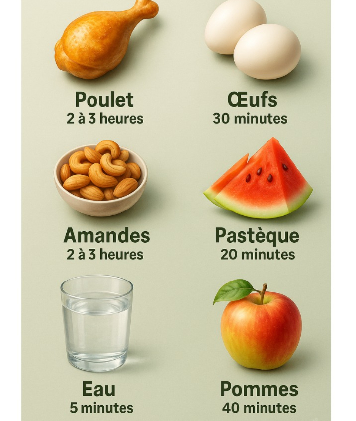 Temps de Digestion : Le Marathon Secret de Votre Assiette Et Comment Lui Faciliter la Vie !

Saviez-vous que votre corps est une usine de traitement ultra-sophistiquée, où chaque aliment suit son propre roadmap digestif ? Connaître ces durées, cest comme avoir le manuel dinstructions pour éviter les coups de pompe post-déjeuner ou les nuits blanches à cause dun fromage trop copieux ! Prêt pour le décryptage ? 

 Les Sprinteurs du Frigo : Fruits & Légumes
Pastèque, melon  : 20-30 min top chrono ! Des fusées à eau qui traversent lestomac comme une lettre à la poste.

Pommes, raisins  : 30-40 min. Un petit jogging digestif en douceur.

Kiwi, fraises  : 30-40 min. Le plein de vitamine C sans embouteillage intestinal.

Concombre, salade 綾 crus : 30-40 min. Fraîcheur et légèreté garanties.

Brocoli, carottes 凌 cuits : 40-50 min. Le combo fibres  cuisson = autoroute digestive !

 Les Randonneurs : Glucides & Féculents
Riz blanc, baguette 稜 : 1h-2h. La promenade digestive classique.

Quinoa, avoine complète  : 2h. Les champions des fibres, un peu plus lents mais tellement nourrissants !

Pommes de terre 凜 : 1h30-2h. Cuites à leau, elles filent droit. En frites ? Comptez un détour 

數 Les Ultra-Marathoniens : Protéines & Gras
Œufs 讀 : 30-45 min surprise !. Les protéines légères, vos alliées du matin.

Poisson maigre  : 30 min. Un express pour les papilles et lestomac.

Saumon, thon : 45-60 min. Leur gras bon prend son temps, mais cest pour la bonne cause oméga-3 inside!.

Poulet  : 1h30-2h. Sans peau, il file comme un rêve.

Steak de bœuf 數 : 3-4h. Le poids lourd du frigo ! À réserver pour les jours où vous navez pas de réunion après le repas

Lentilles, pois chiches  : 2-3h. Riches en fibres ET protéines = combo gagnant mais prévoyez laprès-midi tranquille.

燎 Les Séjourneurs : Produits Laitiers
Lait, yaourt 拏 : 1-2h. Rapidité selon votre tolérance bonjour les lacto-intolérants.

Fromage frais : 2h. Doux pour les intestins.

Comté, camembert 燎 : 4-5h. Leur affinage se mérite et se digère lentement !

樂 Les Résistants : Noix & Graisses
Amandes, noix  : 2-3h. Leur gras sain et leurs fibres demandent un effort, mais quel retour énergétique !

Huile dolive, avocat 陋 : 30 min huile à 2h avocat. Le bon gras ne sattarde pas trop, heureusement !

Beurre : 2-3h. À consommer avec modération pour votre foie aussi.

磻 Les Flashs : Boissons
Eau  : Digestion quasi instantanée ! Votre meilleure alliée hydratation.

Jus dorange  : 15-30 min. Le shoot de vitamines sans effort.

Café, thé  : 30-45 min. Leur caféine accélère même le transit parfois trop !

 Les 4 Freins à lAutoroute Digestive À Éviter !
 LAssiette Débordante : Trop de volume = embouteillage gastrique.

 Les Combos Explosifs : Viande rouge  frites  fromage = digestion en mode “usine saturée”.

 Le Canapé Post-Repas : Rester immobile = ralentir le processus. Bougez doucement !

濫 Les Troubles Chroniques : Reflux, SII… Consultez si cest le parcours du combattant quotidien.

 Les 3 Accélérateurs Magiques Testés et Approuvés !
醴 Mâchez Comme un Chef Étoilé : 20 fois par bouchée minimum ! La salive est la 1ère étape clé.

 Hydratez-vous Entre les Repas pas pendant !  fluidifie le transit.

 10 Min de Marche Après Manger : Relance la machine en douceur.

 Le Secret Ultime ?
Votre corps est unique ! Ces durées sont des moyennes merci la science 離, mais votre ressenti prime. Un repas léger qui pèse ? Une viande digérée en un clin dœil ? Écoutez-vous ! Votre ventre est plus bavard quil ny paraît 

PS : Si votre digestion ressemble à un épisode de “Cest pas sorcier”, essayez la menthe poivrée en infusion   magique contre les ballonnements !