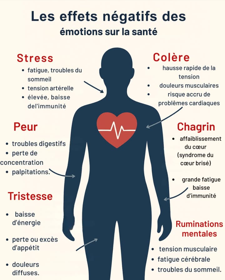 Saviez-vous que nos émotions influencent directement notre santé ?
Le stress, la colère, la peur ou même le chagrin laissent des traces sur notre corps : fatigue, troubles digestifs, douleurs, baisse dimmunité…

Mais il existe aussi des solutions naturelles pour apaiser ces émotions et retrouver léquilibre 

 Découvrez comment les émotions affectent nos organes et quelles astuces simples peuvent vous aider à mieux les gérer