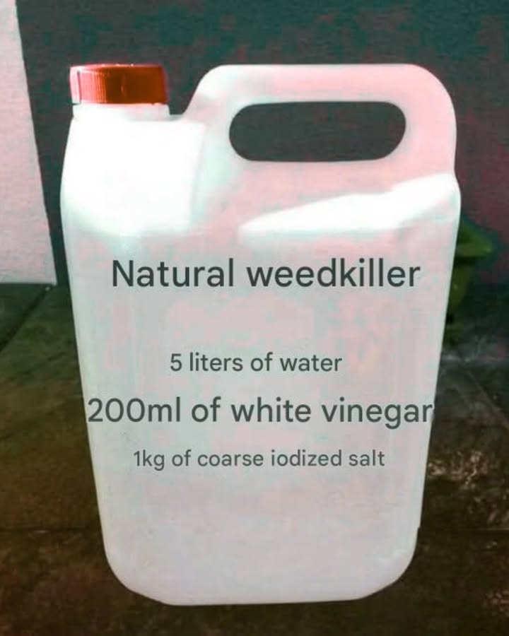 Natural Weed Killer Recipe: Easy and Effective
