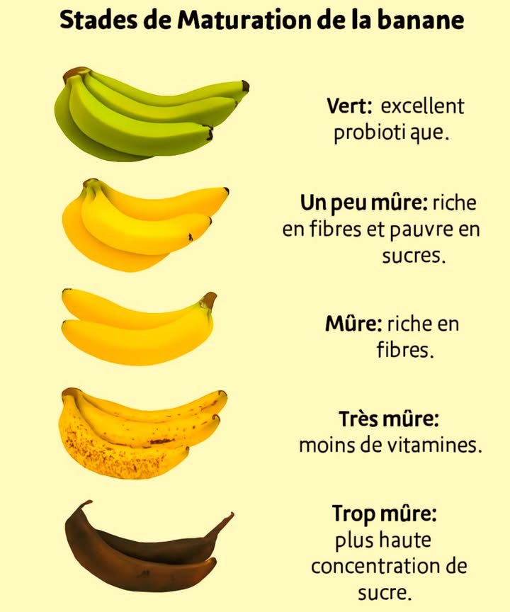 Les étapes de maturation de la banane 

 Verte : encore ferme et légèrement amère, elle favorise la santé intestinale grâce à sa richesse en amidon résistant, un excellent probiotique naturel.
 Peu mûre : contient beaucoup de fibres et peu de sucres, idéale pour la digestion lente et la satiété.
 Mûre : douce, parfumée et riche en fibres solubles qui soutiennent le transit intestinal.
 Très mûre : sa teneur en vitamines commence à diminuer, mais elle reste facile à digérer.
 Trop mûre : très sucrée et énergétique, parfaite pour les smoothies ou les gâteaux maison.