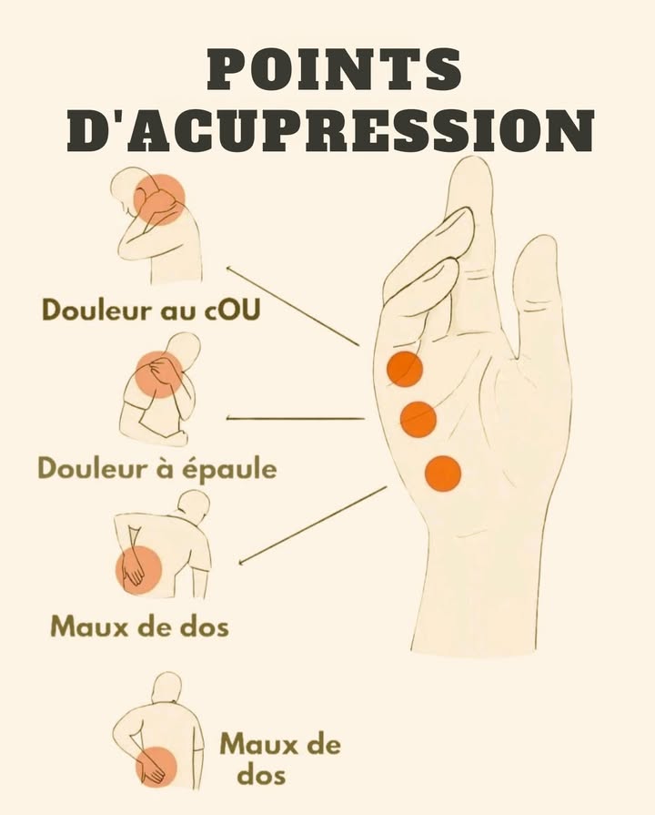 Points dacupression pour apaiser les douleurs 

1 Pour le cou
En massant délicatement le point situé sur le dessus de la main, il est possible de réduire les tensions au niveau des cervicales.

2 Pour les épaules
Une pression douce au centre de la paume aide à relâcher les épaules et à stimuler la circulation.

3 Pour le dos
En exerçant une pression sur la partie inférieure de la paume, on peut atténuer les douleurs lombaires et diminuer la raideur musculaire.

Une approche naturelle et accessible qui contribue à un meilleur confort au quotidien