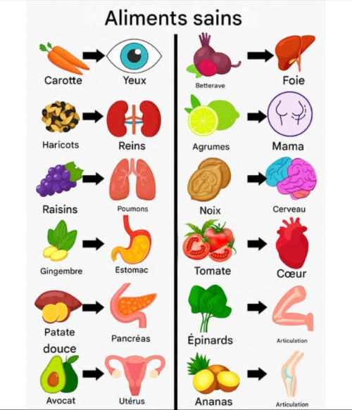 Les aliments qui soignent : mangez en prenant soin de votre corps