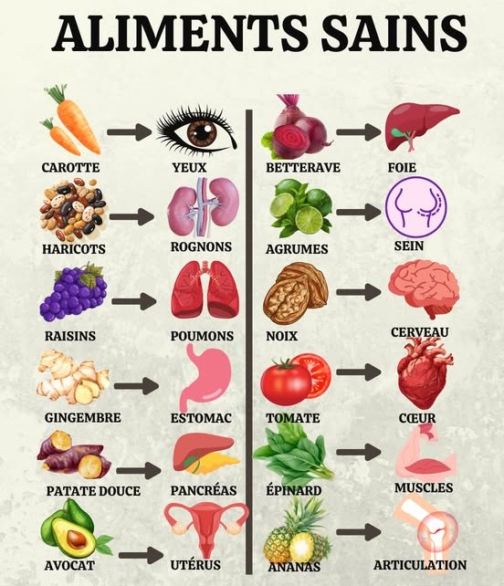 Mangez équilibré tout en vous régalant ! 復  
 Recettes simples et nutritives :  
綾 Salade dépinards avec fruits et noix  
 Saumon grillé accompagné de légumes croquants  
 Quinoa, lentilles et pois chiches colorés  
 Smoothie vitaminé aux fruits et légumes  
 Poulet rôti, pommes de terre et brocoli  
 Aliments indispensables pour un corps en pleine santé :  
 Fruits : pommes, bananes, fraises, oranges, mangue  
復 Légumes : épinards, brocoli, carottes, concombres, tomates  
 Protéines : saumon, poulet, œufs, légumineuses, noix  
 Céréales : quinoa, riz brun, avoine, pain complet  
拏 Produits laitiers : lait, yaourt, fromage, beurre  
便 Huiles : olive, coco, lin  
 Herbes & épices : ail, oignon, poivron, coriandre, cumin  
 Appréciez chaque jour le plaisir dune alimentation variée et équilibrée !