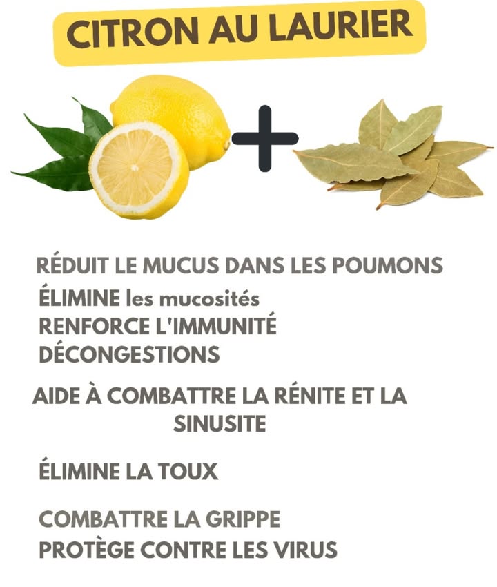 Citron et laurier : un duo naturel pour la santé 

Réduit le mucus dans les poumons et élimine les mucosités

Renforce le système immunitaire et aide à décongestionner

Contribue à combattre la rhinite et la sinusite

Apaise la toux et soutient la lutte contre la grippe

Offre une protection naturelle contre certains virus