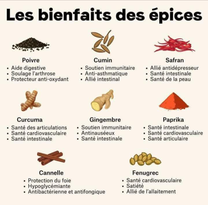 Les épices sont de véritables trésors qui méritent dêtre plus souvent consommées !

En plus dêtres antioxydantes et anti-inflammatoires, elles permettent de limiter notre consommation de sel et de sucre dans nos recettes culinaires !

Pensez à en mettre dans vos plats et pensez aussi à les consommer sous forme de tisanes pour certaines dentre elles.

Liste non exhaustive
