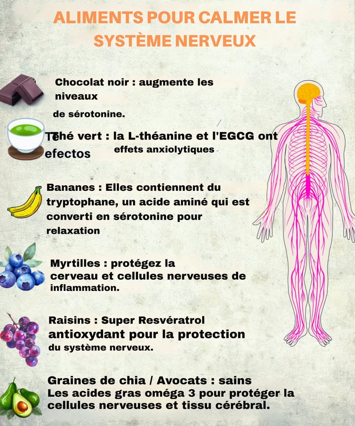 ALIMENTS POUR CALMER LE SYSTÈME NERVEUX